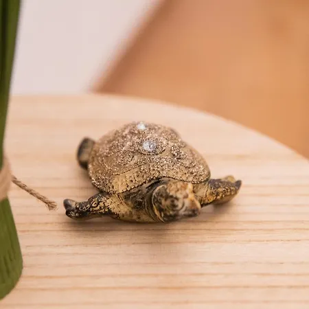 Daire Center Korzo *